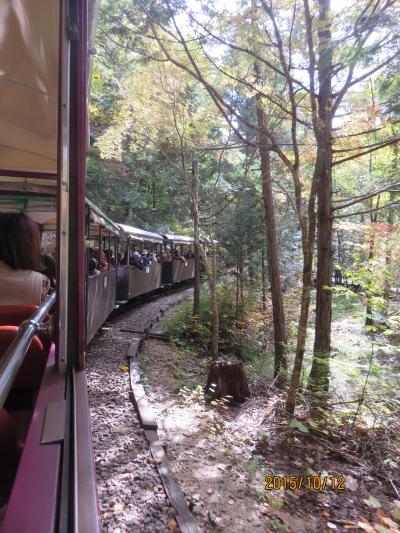 木曽ヒノキ天然林の森・赤沢森林鉄道に乗りたい～とワクワク出かけました（＾０＾）マイナスイオンがいっぱいですよ～～