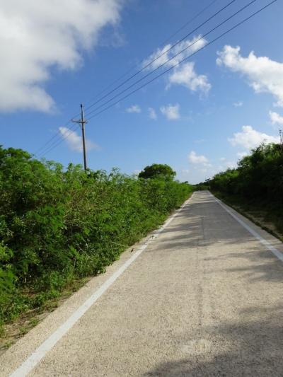 201407八重山諸島 その①
