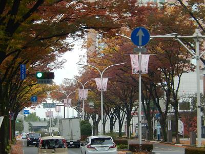 バスの窓から見られた群馬・前橋市の風景