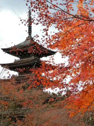 紅葉追いかけて　定義如来西方寺と大倉川渓谷とマルチプルアーチ式の大倉ダム