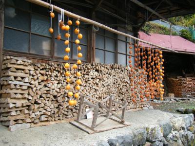 奥多摩 むかし道