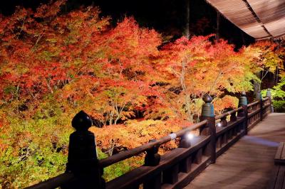 播州清水寺の紅葉　2015