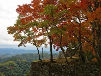 紅葉の岡城。