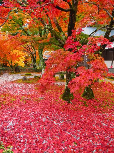 湖東三山と永源寺めぐり　2015紅葉の旅　　【　百済寺～永源寺編　】