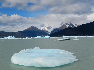 アルゼンチン・チリ２０１４旅行記　【２】エル・カラファテ２
