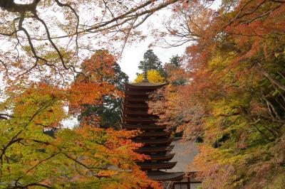 少し早めの奈良の紅葉巡り～”室生寺”から”談山神社”へ！