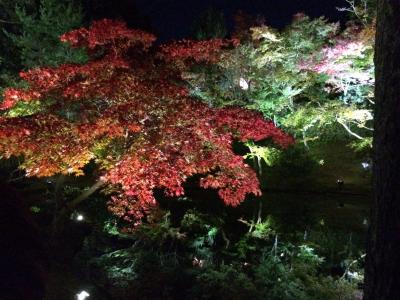 ご近所旅 バスツアーで行こう! 京都 2015