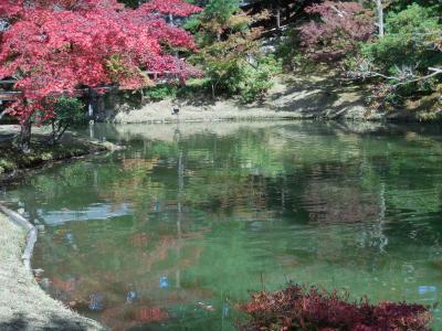 50+で  新幹線+ホテル日航プリンセス一泊②二日目清水寺　高台寺　「八坂圓堂」