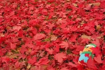 ちょっとピザを食べに帯広まで@北海道ホテル ～2015～