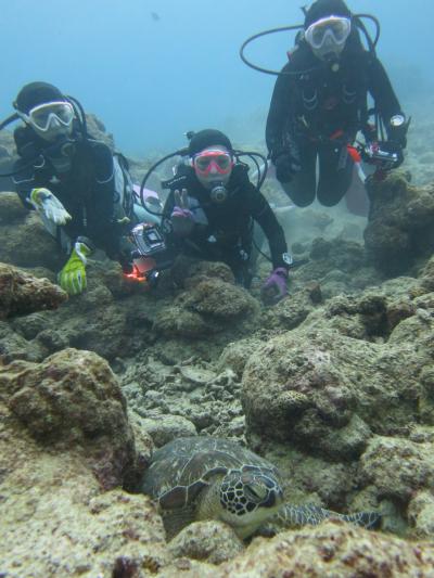 今年の初潜りは石垣島で！！