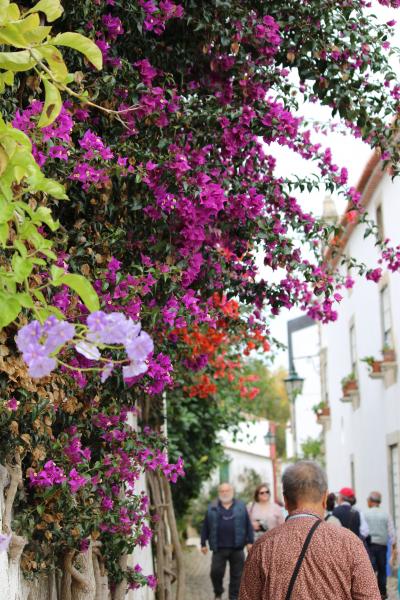 ポルトガル　5日目②　《オビドス散策》