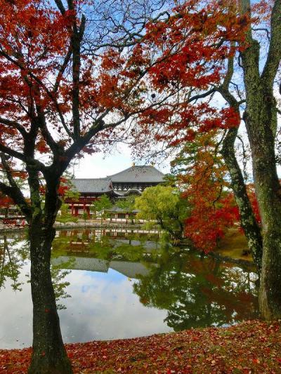 奈良旅行２日目：鏡池と東大寺の紅葉