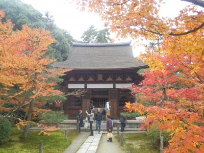 回顧録　2014年11月後半3連休　滋賀京都の旅(3)　京田辺市酬恩庵ほか