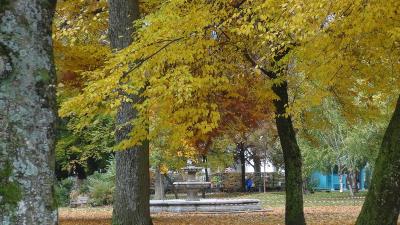 秋色に染まる美しい街・・・・・アヌシーAnnecy　[１]・・・・・深まりゆく秋のフランスを旅して