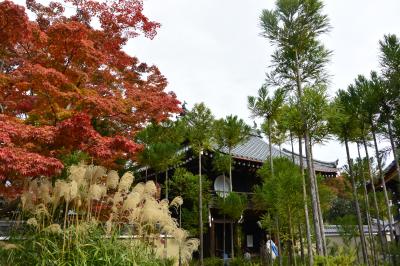 ２０１５年１１月　「源光庵」へ行こう！丸窓と角窓から見る紅葉は・・・