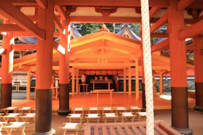 旅するイルカ♪　紅葉狩り　和歌山県　橋本周辺へ