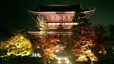 もみじの永観堂～天授庵～金戒光明寺