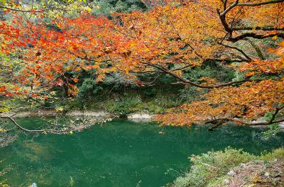 秋が深まる名勝長門峡に行って来ました