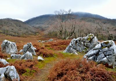 御池岳（１２４７m）　鈴鹿の最高峰