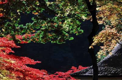 2015紅葉（3） 紅葉の名所・両界山横蔵寺＆谷汲山華厳寺