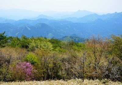 碁盤石山（１１８９m）　奥三河のハイキングコース