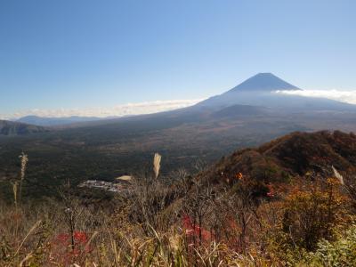 富士山麓周遊・・西湖いやしの里根場と青木ヶ原樹海（ネイチャーガイドツアー）をめぐります。