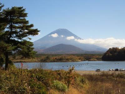 富士山麓周遊・・精進湖の大杉と精進湖のパノラマ台、本栖湖千円札ビューポイントをめぐります。