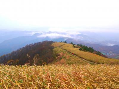 2015年11月13日（金）　中蒜山から下蒜山トレッキング