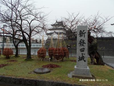 新潟の１００名城を訪ねて/春日山城、新発田城