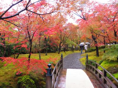 神奈川・箱根　２日間