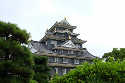 岡山城を訪れました