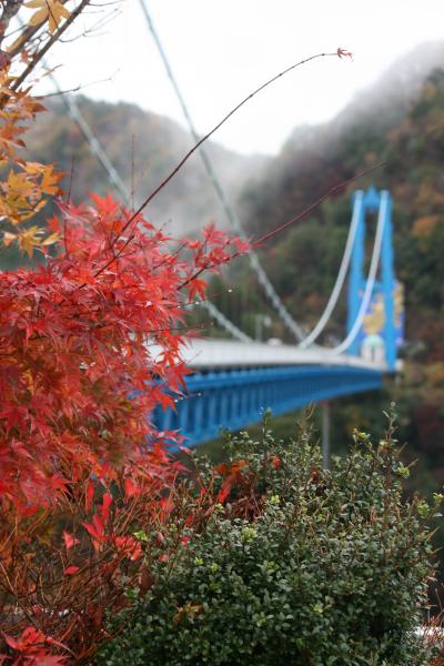 日帰りバスで紅葉狩り「茨城」