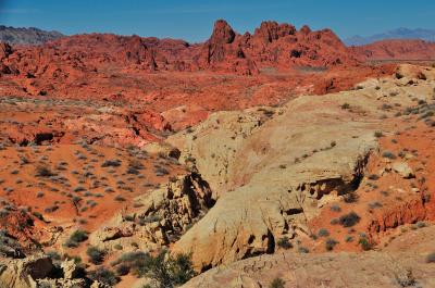 久々のZionへ。到着&Valley of Fire State Park編