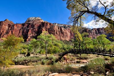 久々のZionへ。Zion National Park編