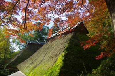 佐賀県基山町　秋が深まる大興善寺へウォーキング(2015年11月)
