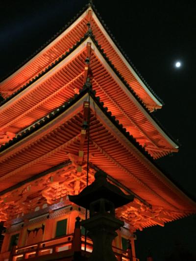 紅葉の京都1泊2日