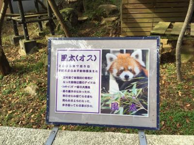 都市モノレールに乗って「風太」がいる千葉市動物園へ行ってきました。