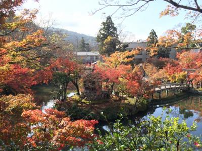 2015秋 紅葉の京都へ
