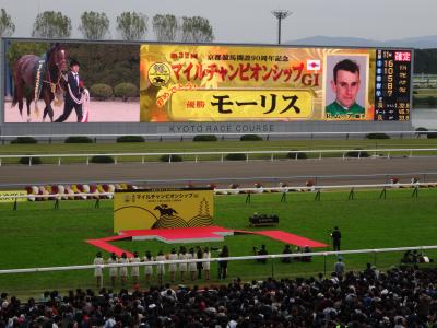 2015年11月 京都競馬場で開催された第32回マイルチャンピョンシップ(G?)を観戦