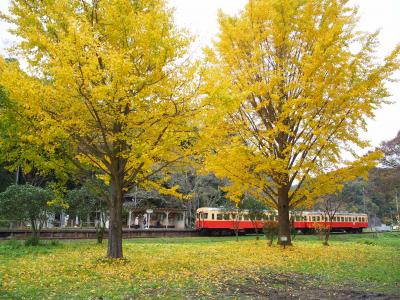 晩秋の小湊鉄道とアートいちはら2015秋