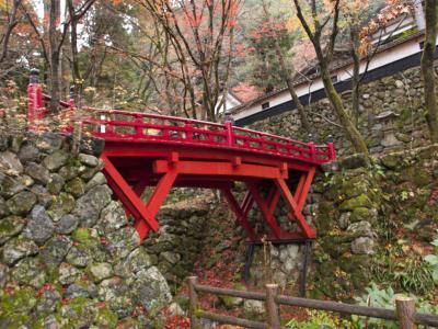 横蔵寺の紅葉 