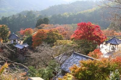 京都を歩く(229)　洛西の紅葉の名所　善峯寺へ