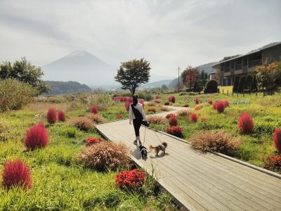 山梨~河口湖へ・初冠雪の富士山麓をのんびり散策~