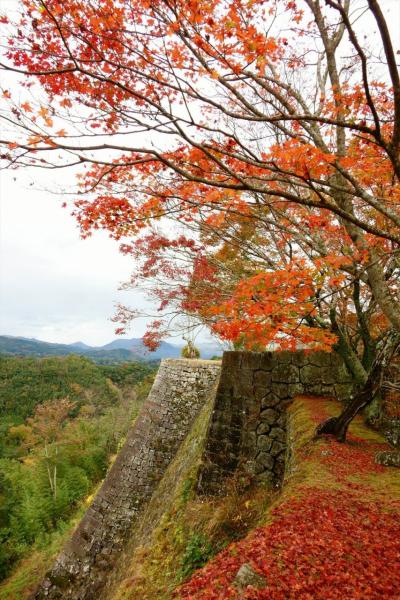 阿蘇からくじゅう、別府へ　絶景めぐり