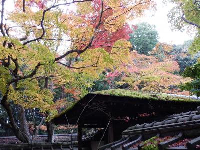久しぶりの秋の京都は凄かった・・・②大徳寺→かわいい落雁→二条城のアートアクアリウムへ