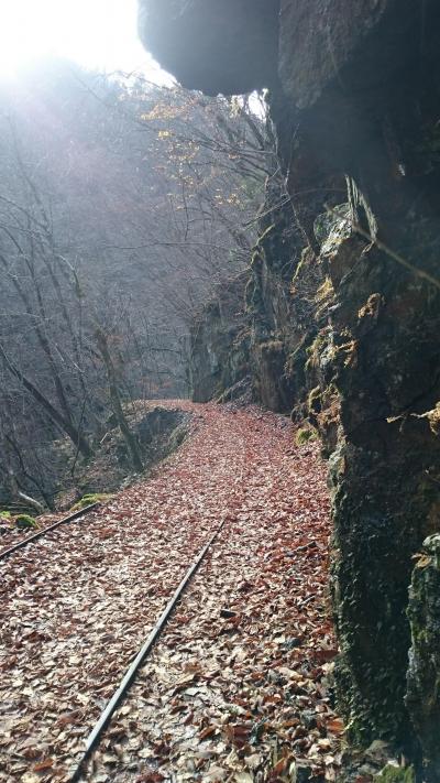 入川渓谷・トロッコ道ハイキングとモミジ祭りでジャズを聴く。in埼玉県・秩父