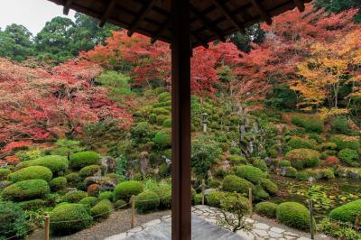 秋の滋賀旅行その３～永源寺・西明寺・金剛輪寺～