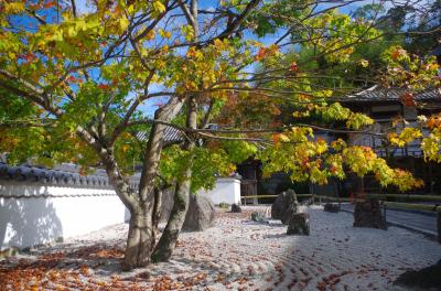 福岡県太宰府市　光明禅寺と竈門神社の秋(2015年11月)