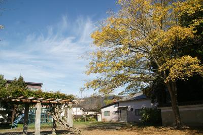 関西散歩記～2015 奈良・桜井市編～