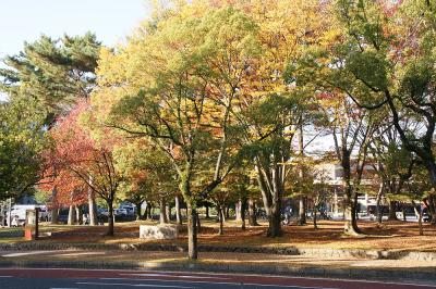 関西散歩記～2015 奈良・奈良市編～